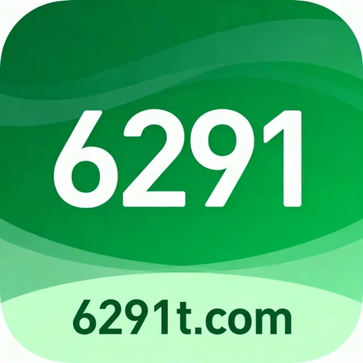 6291.com